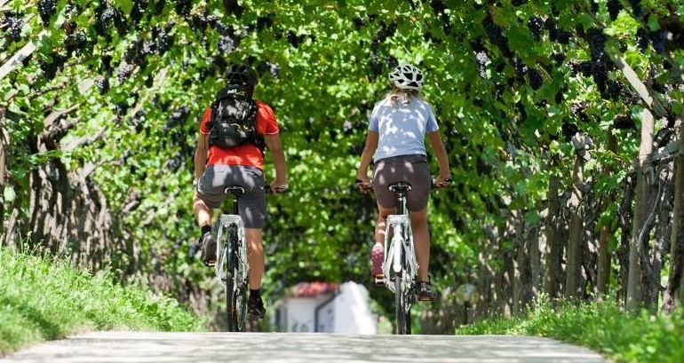 Tutte le strade (o quasi) portano in cantina