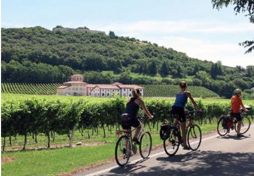 Tutte le strade (o quasi) portano in cantina