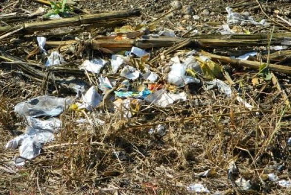 Una passeggiata in campagna tra i rifiuti insieme a Legambiente