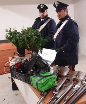 Serra di marijuana in garage, arrestato 57enne