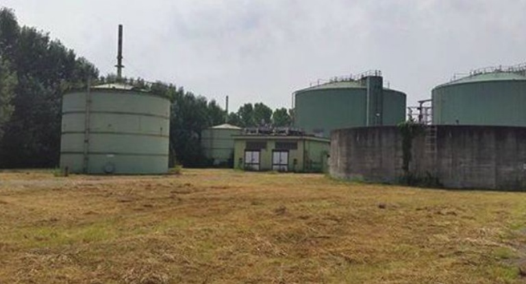 Visano: il vecchio depuratore ormai abitato da rane e serpenti