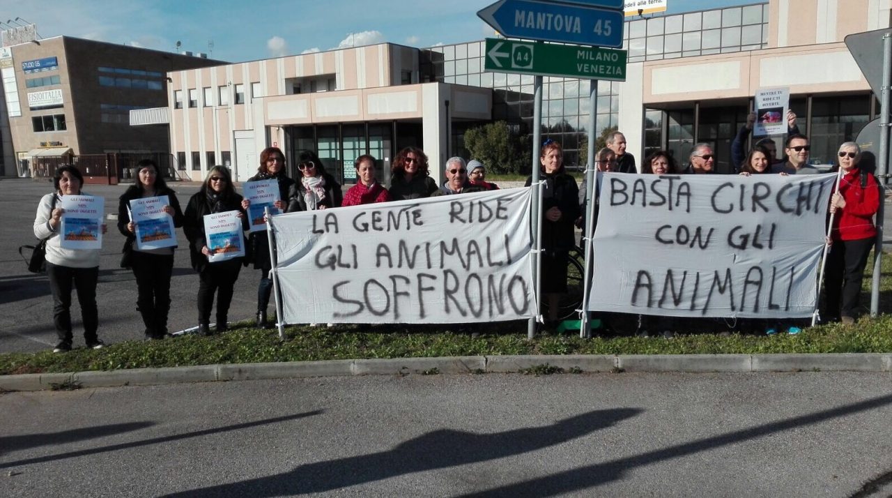 Utilizzo degli animali al circo, scoppia la protesta