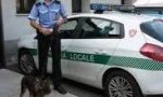 Nuovo agente per la Polizia Locale