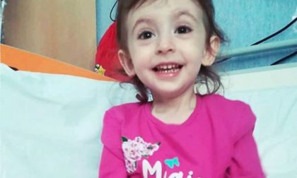 #salviamoElisa: serve un donatore di midollo