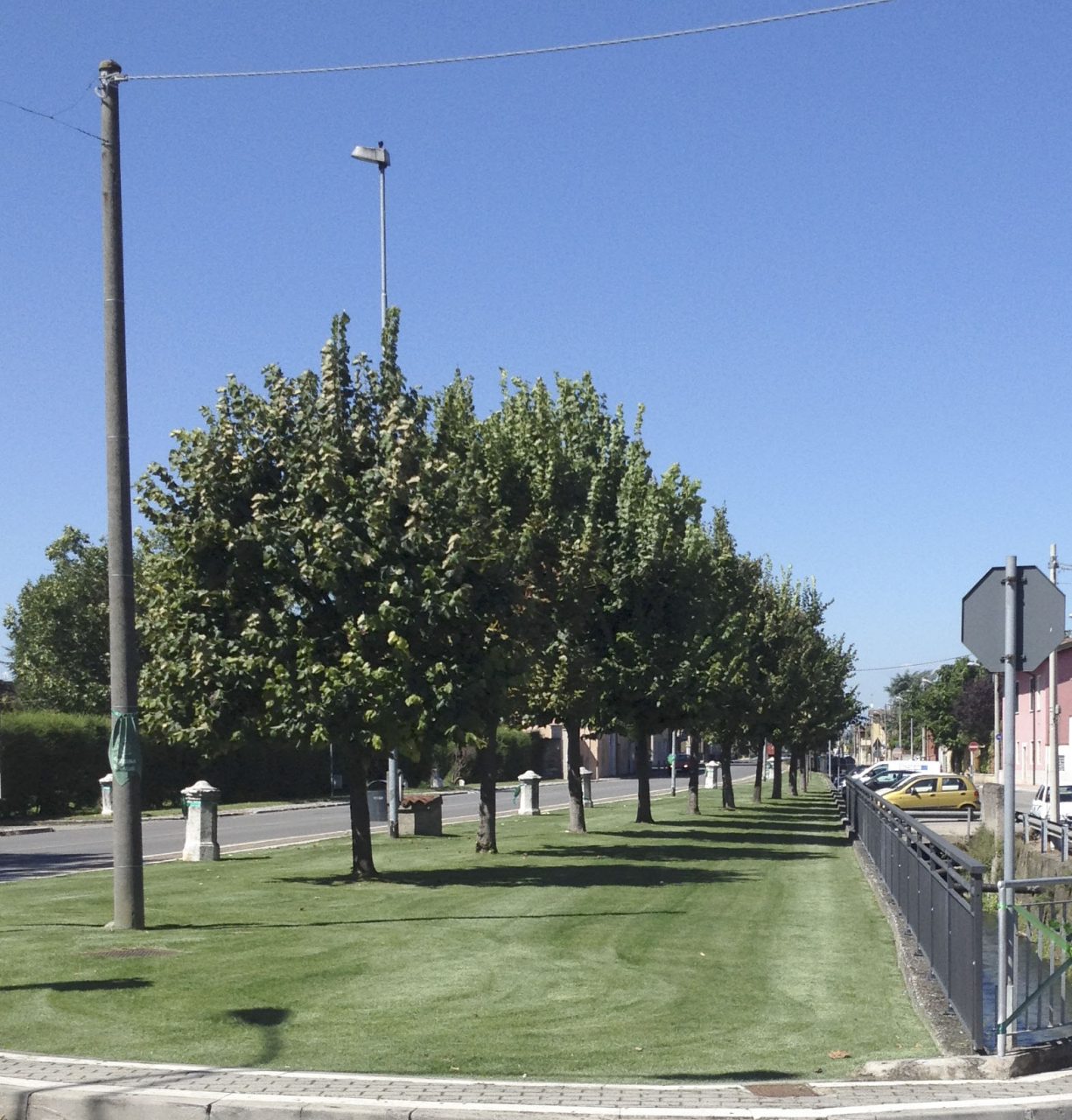 Pollice verde per il Comune di Montirone