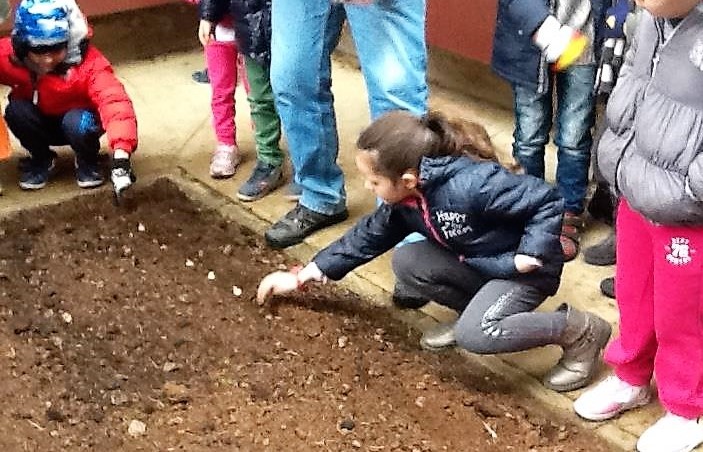 Giornata degli alberi festa con Ekoclub