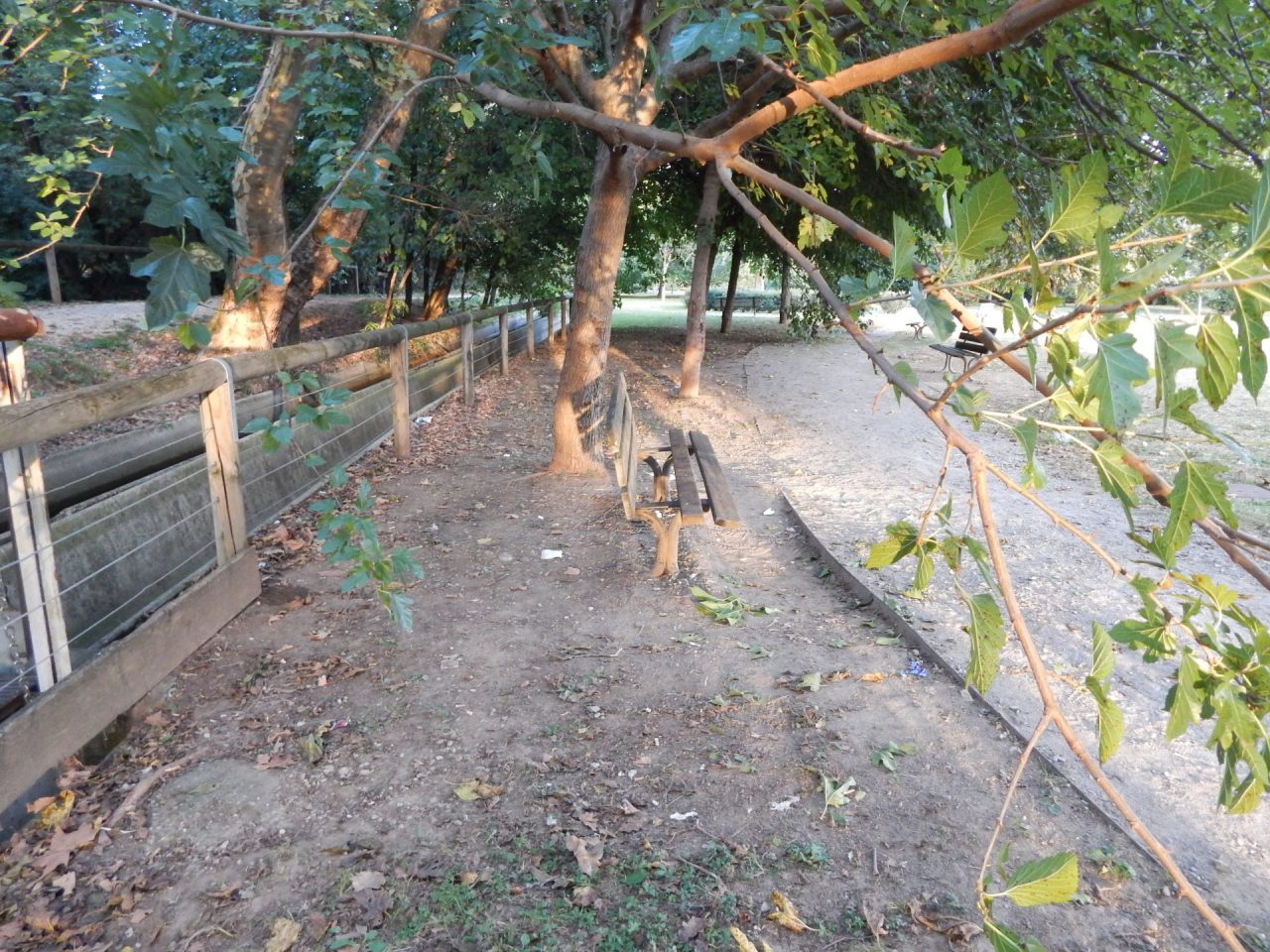 Nessuno sconto per i richiedenti asilo stupratori