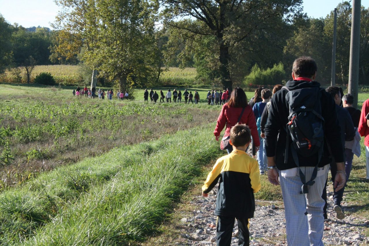 Passeggiata con degustazione in Valtenesi