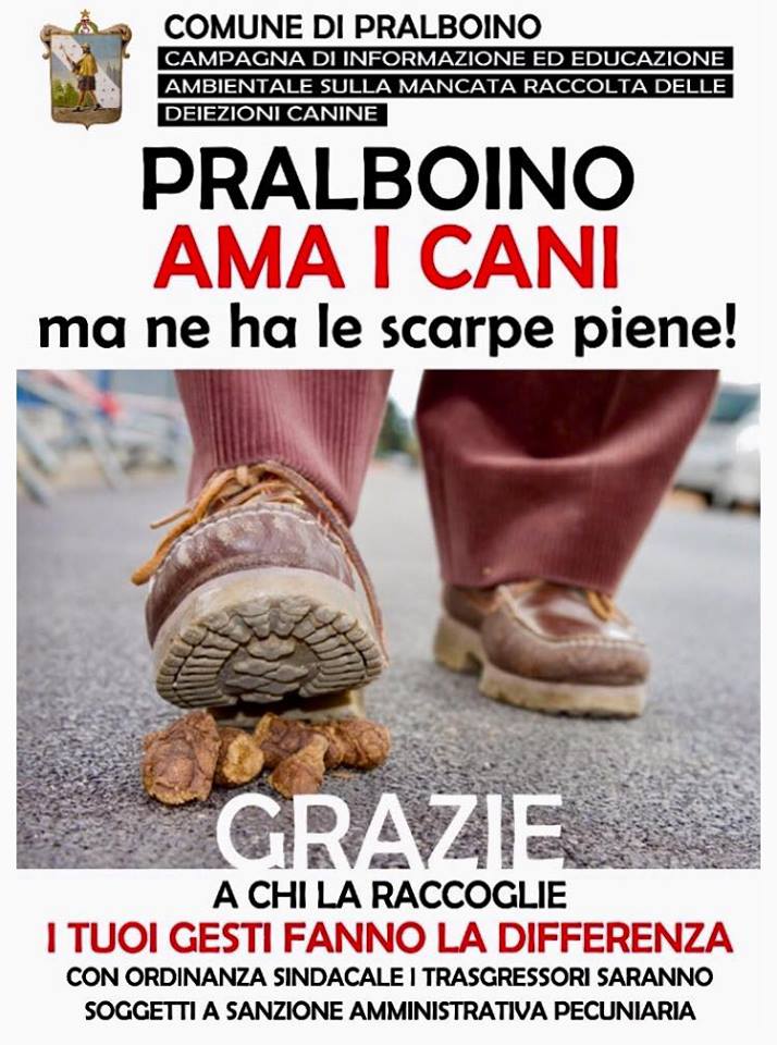 Lotta alle deiezioni dei cani ora scattano le multe