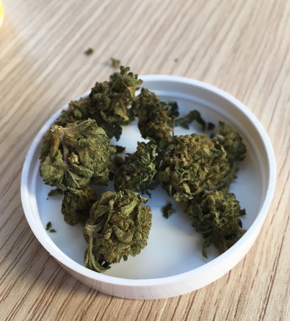 La cannabis legale sbarca in piazza a Desenzano