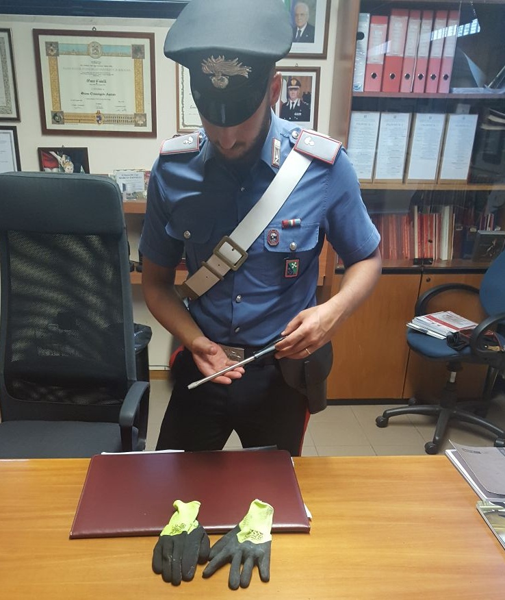 45enne arrestato per furto a Manerba