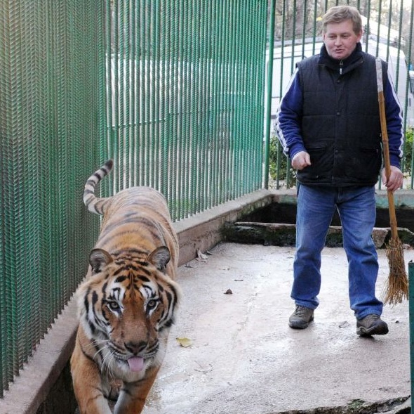 Addio alle tigri di Polpenazze