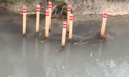 Trovata una bomba nell'alto mantovano