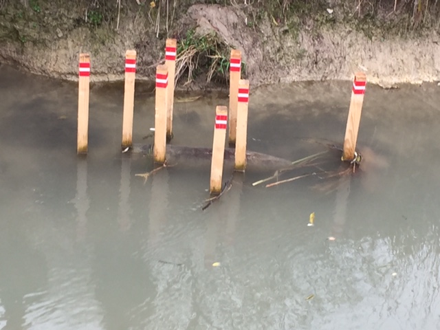 Trovata una bomba nell’alto mantovano
