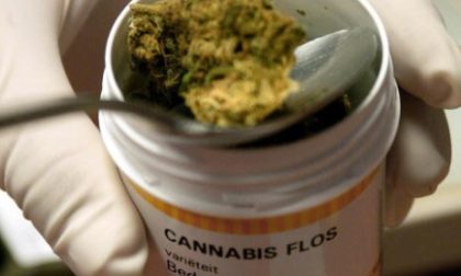 Cannabis nelle farmacie veronesi