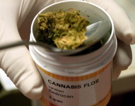 Cannabis nelle farmacie veronesi