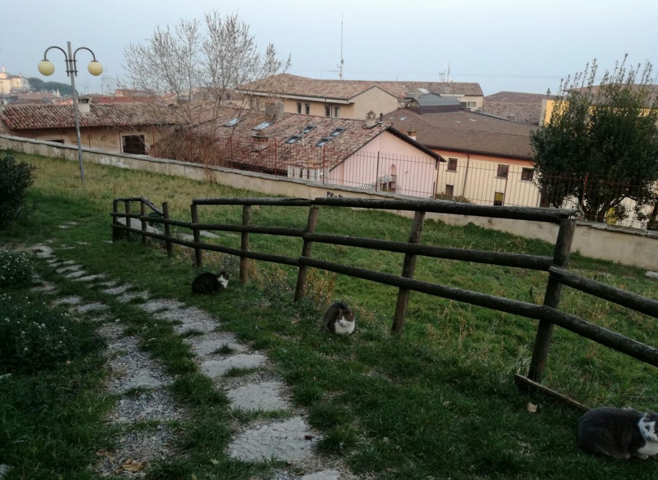 Che fine ha fatto il parco Gino Benedetti?