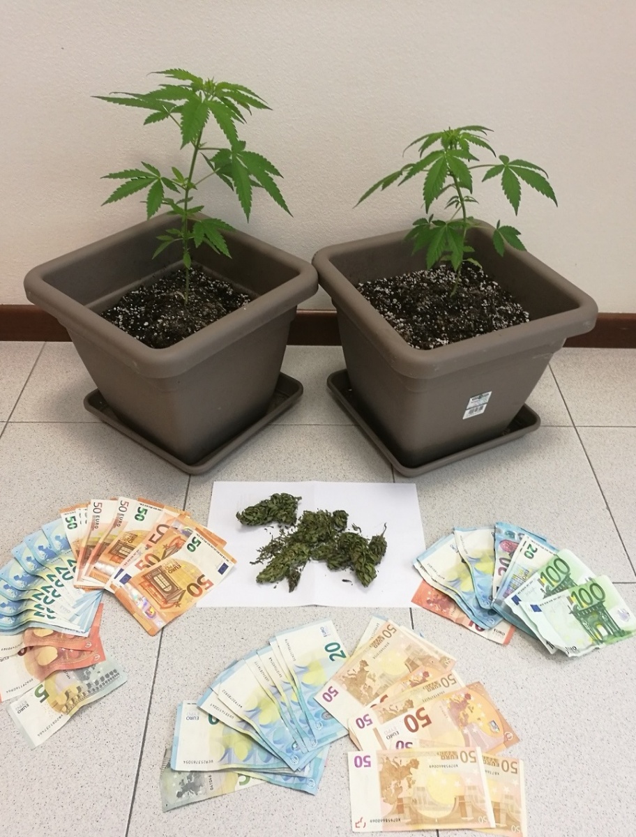 Denunciati due veronesi per spaccio di marijuana
