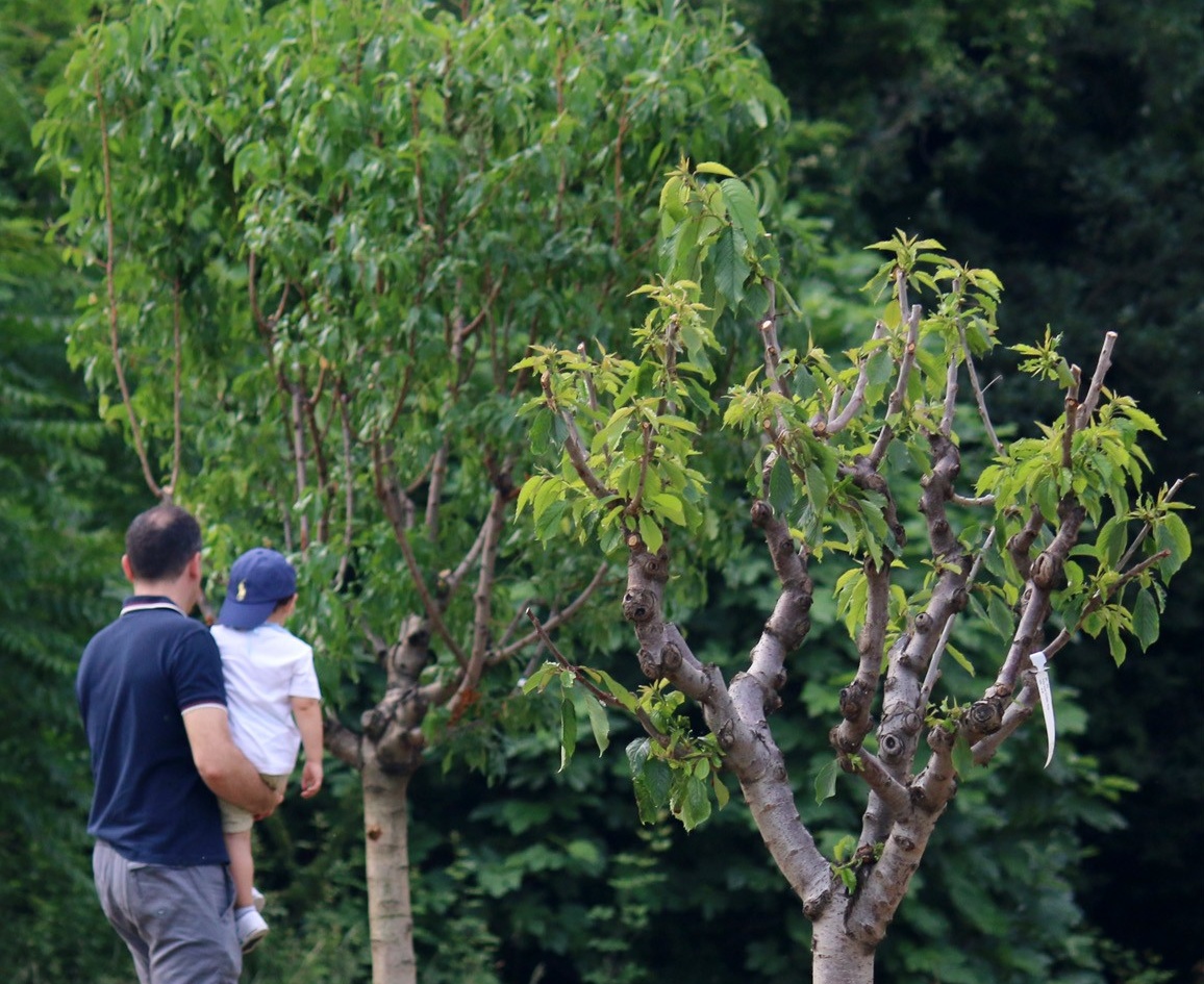 E’ primavera, le iniziative green del weekend