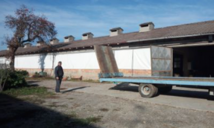 Aviaria è emergenza nel bresciano