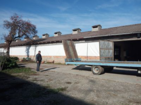 Aviaria è emergenza nel bresciano