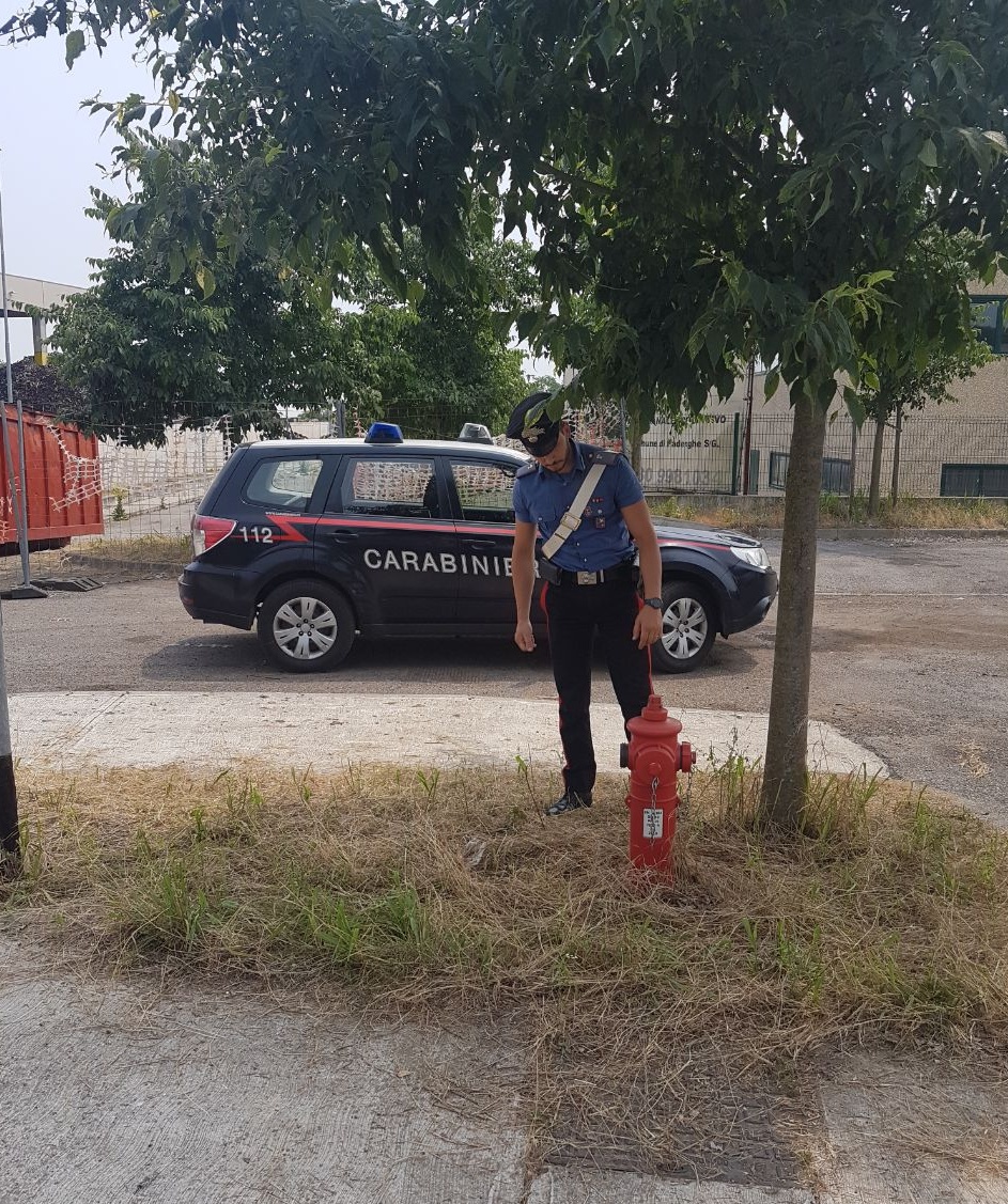 Fa caldo, usano l’acquedotto per abbeverare