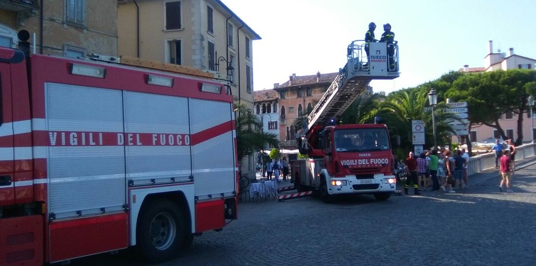 Falco salvato dai Vigili del Fuoco