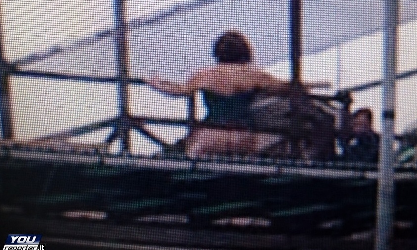 Fanno sesso all’aperto