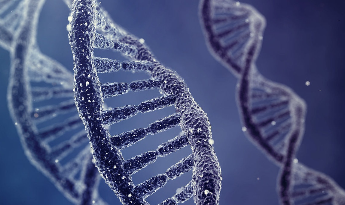 Fatti e curiosità sul 25 aprile