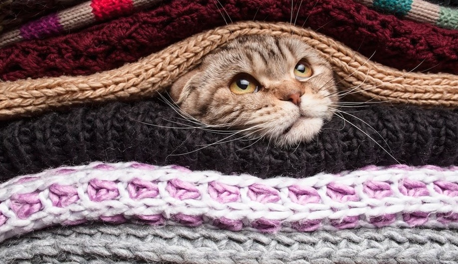 Freddo, freddissimo ancora per un po’