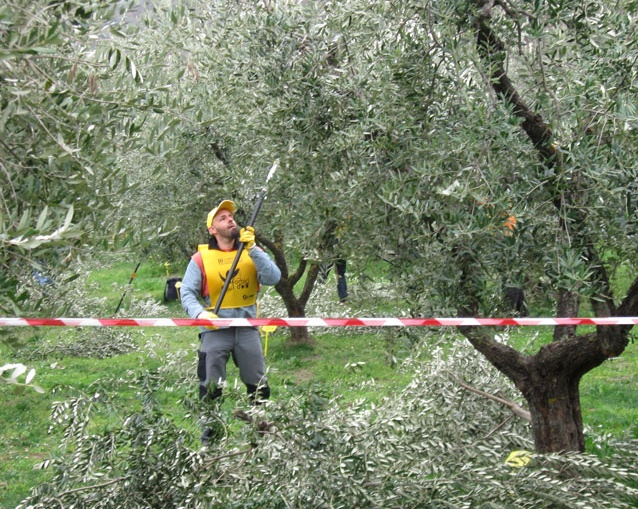 Gambero Rosso premia l’olio del Garda