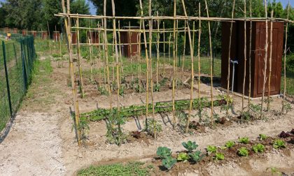 Gestire un orto, un corso spiega come