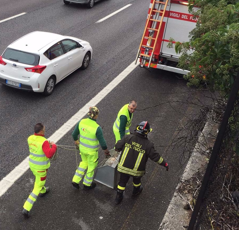 I pompieri di Desenzano salvano un cane sull’A4
