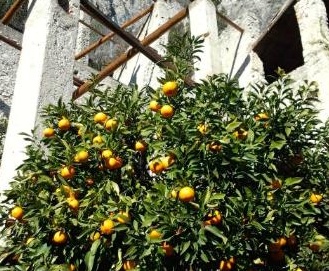 Il Garda raccontato da Linea Verde