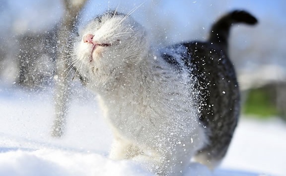 Il tempo a Capodanno