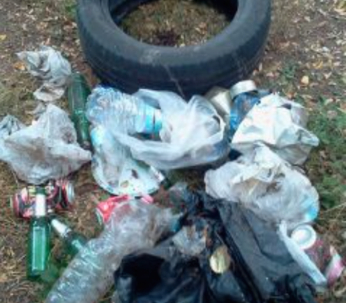 Troppa immondizia sparsa per Remedello