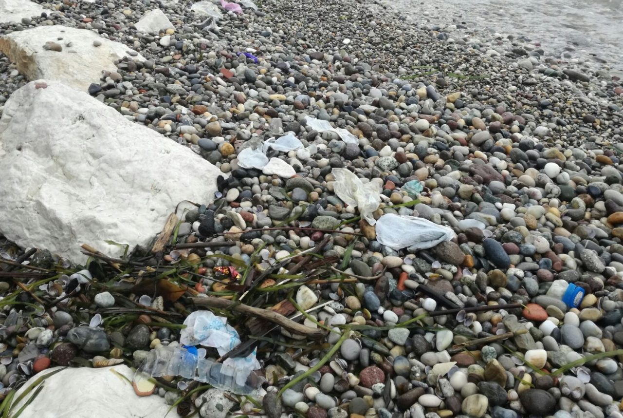 La denuncia: spiagge piene di assorbenti e profilattici