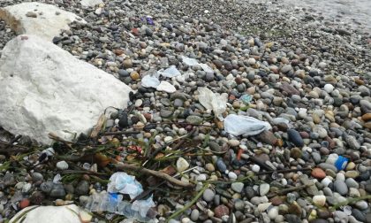 La denuncia: spiagge piene di assorbenti e profilattici