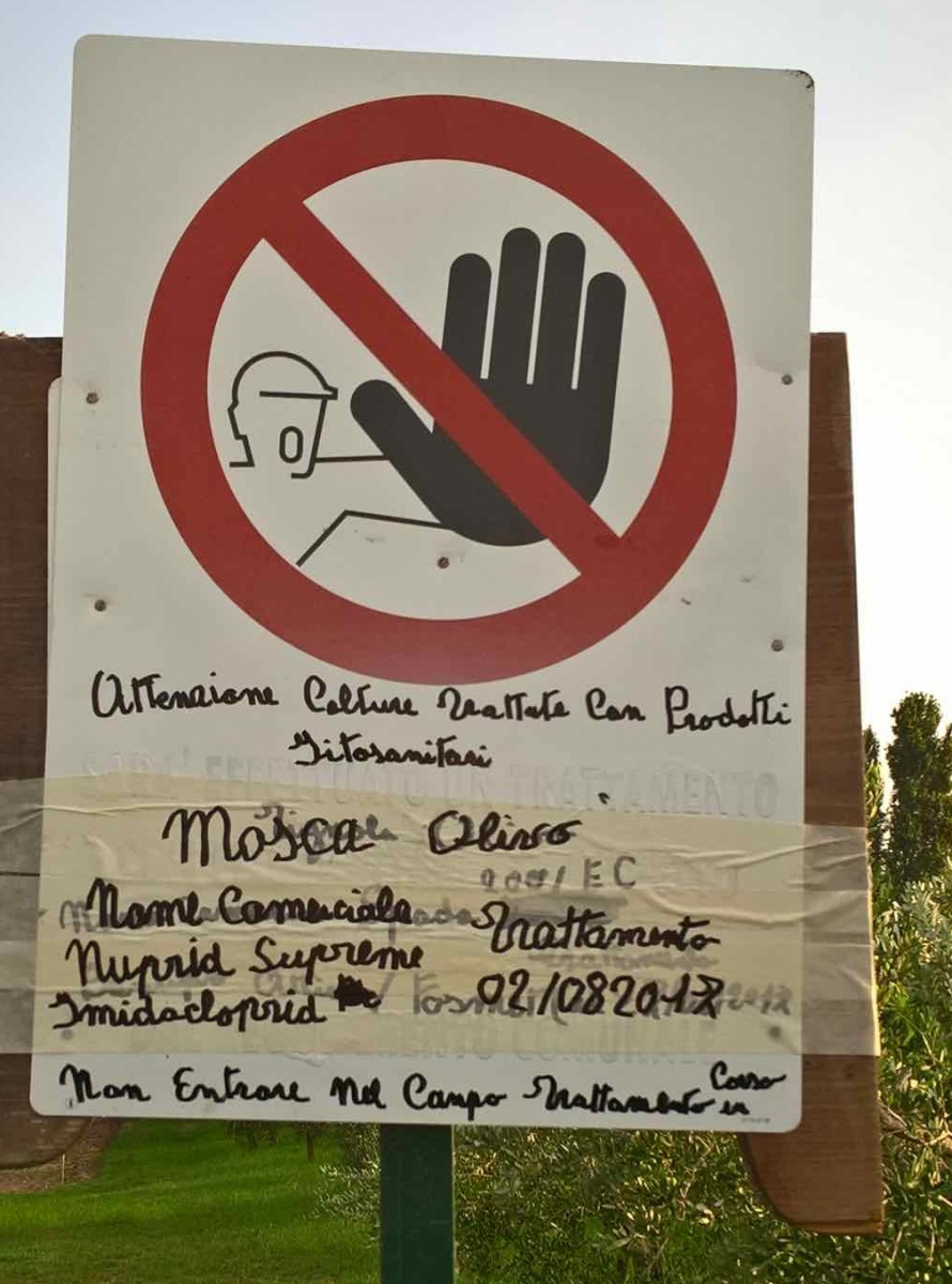 Lazise, non è un paese per api