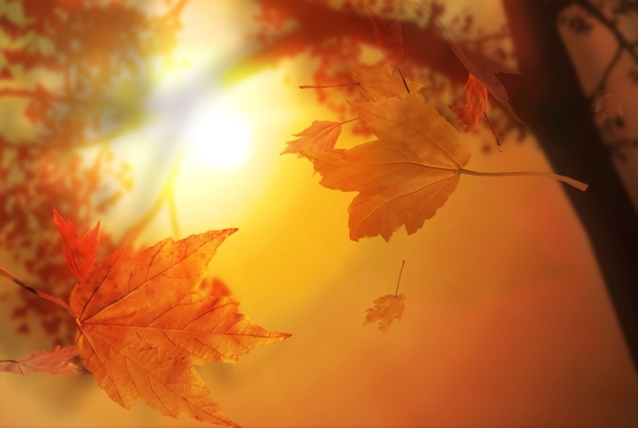 Le previsioni per sabato 14 ottobre