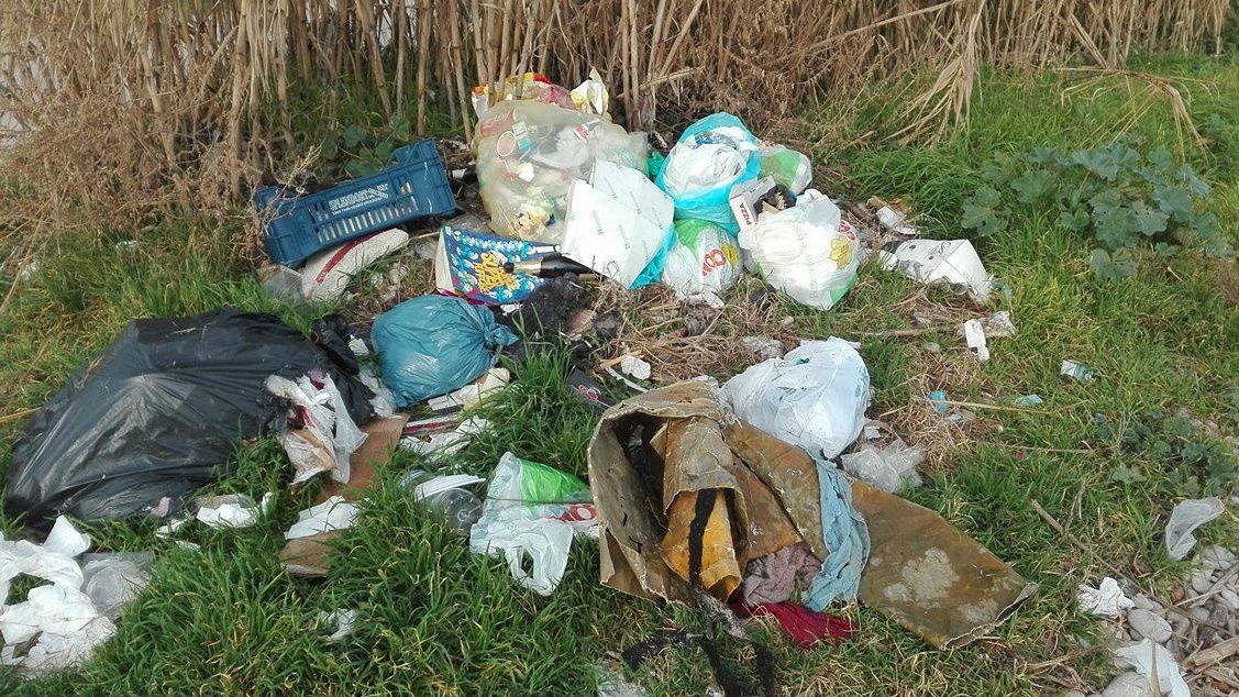 Rifiuti nelle campagne di Prede