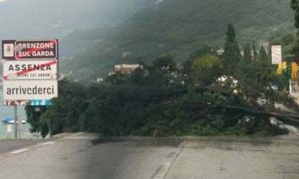 Maltempo, alberi crollati e una barca affondata