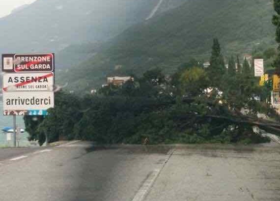 Maltempo, alberi crollati e una barca affondata