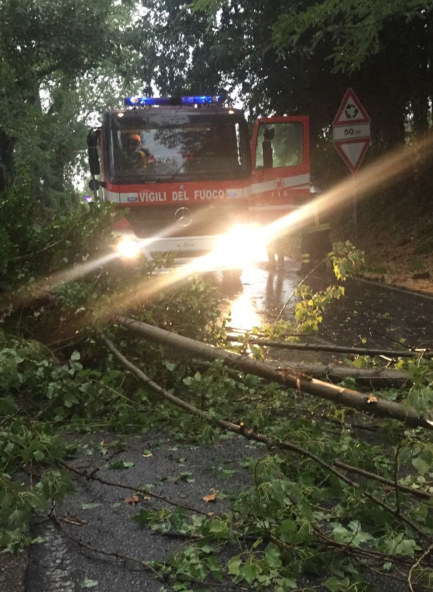 Maltempo, albero blocca un’auto