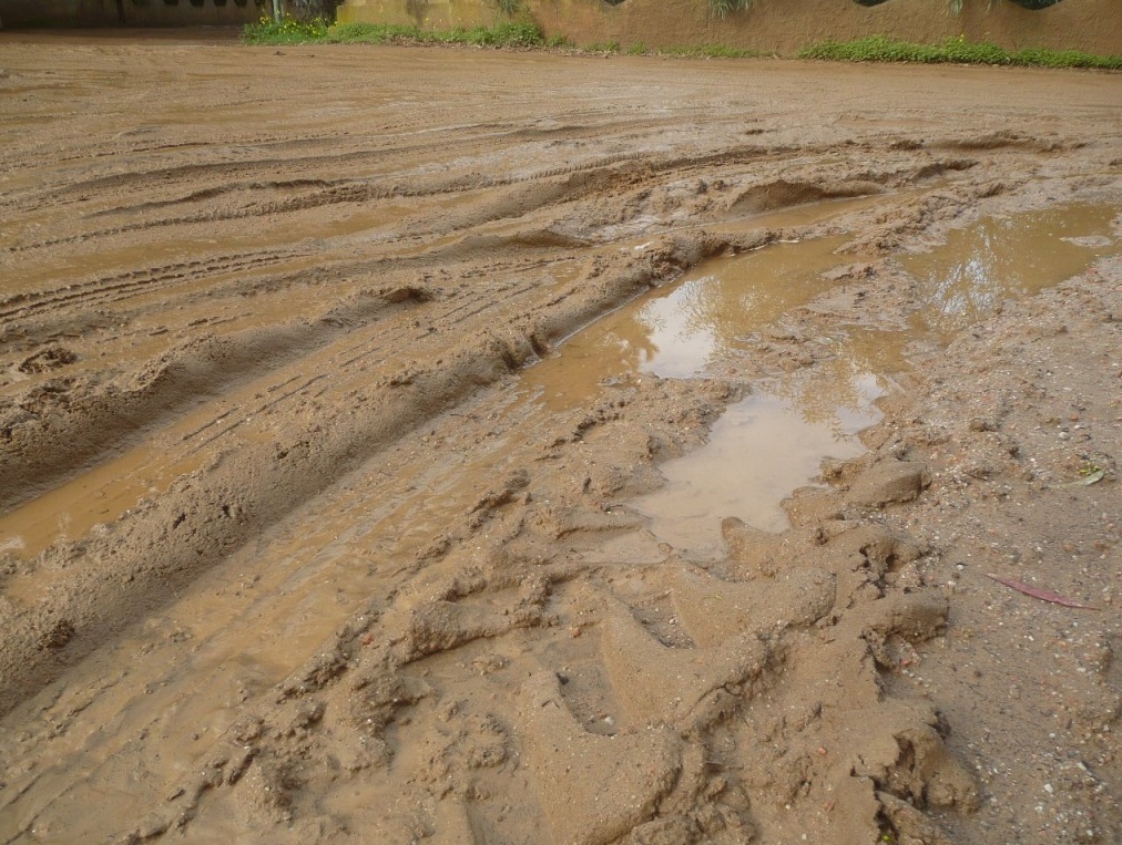 Maltempo sul lago: come sta la sponda veronese