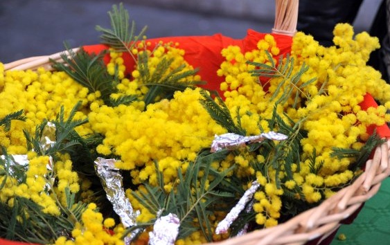 Le donne si raccontano, un reading musicale a Borgosatollo