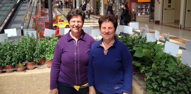 Mostra di erbe aromatiche al Leone