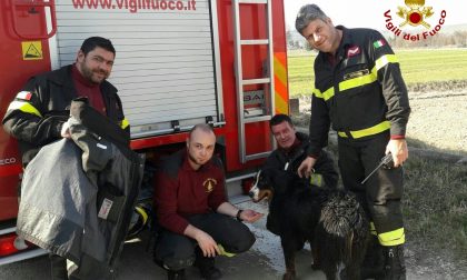 Olivia salvata dai vigili del fuoco