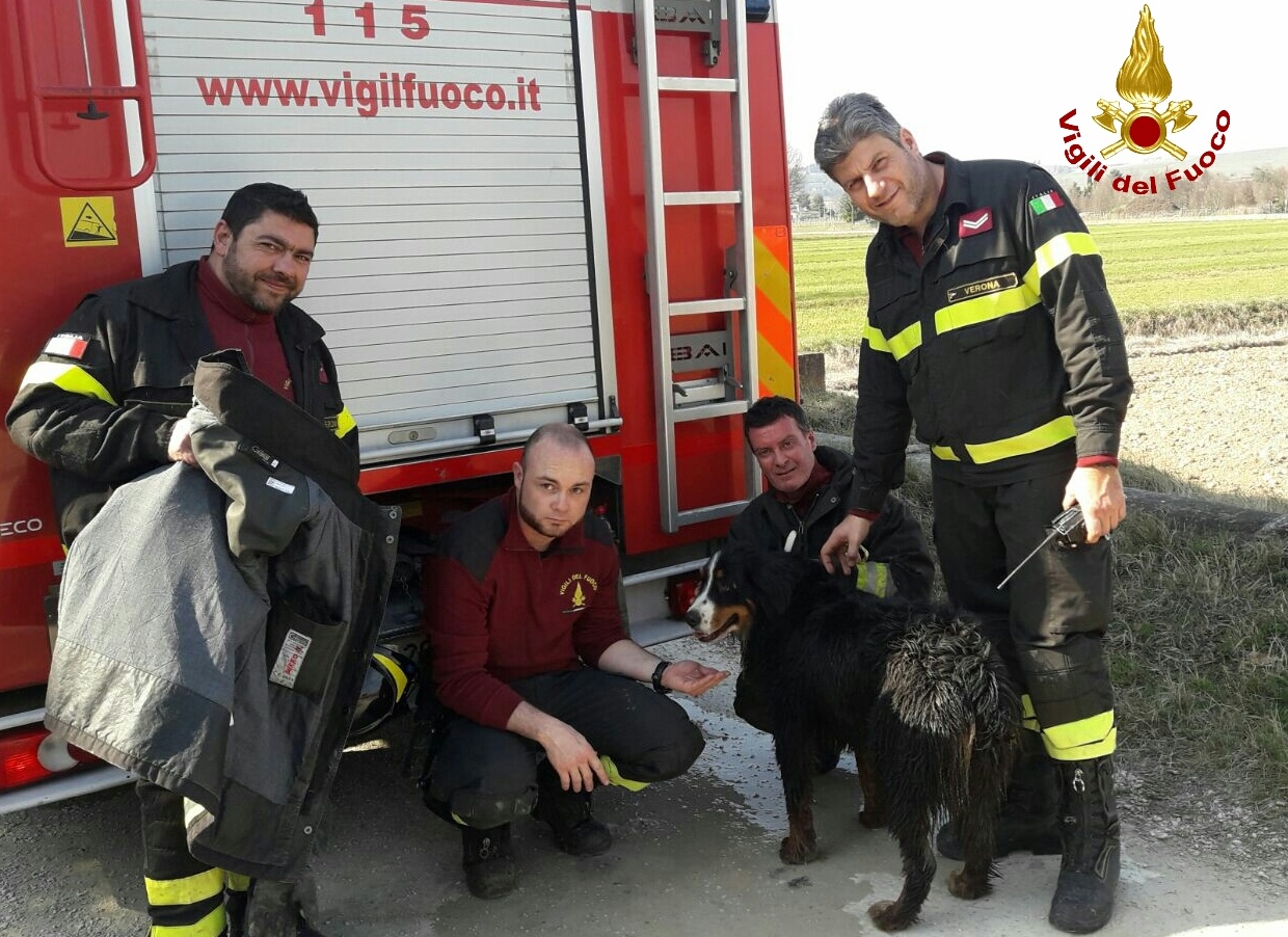 Olivia salvata dai vigili del fuoco
