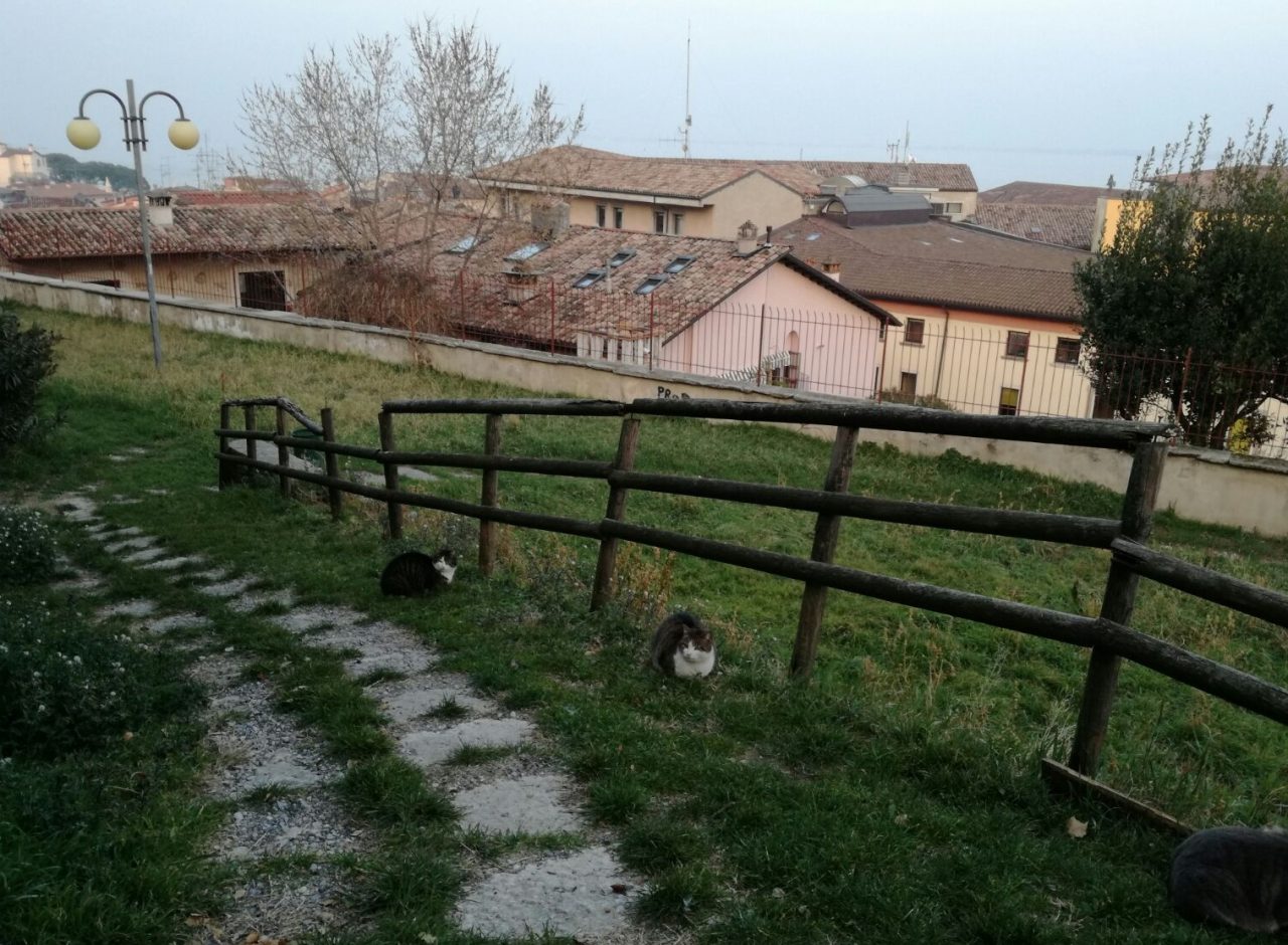 Parco Gino Benedetti: dopo anni una soluzione?